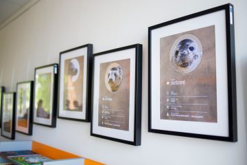 Baltijos jūros ruoniukams suteikti suvalkietiški vardai